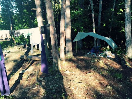 11836877_1015177011835306_6060780964552778039_n